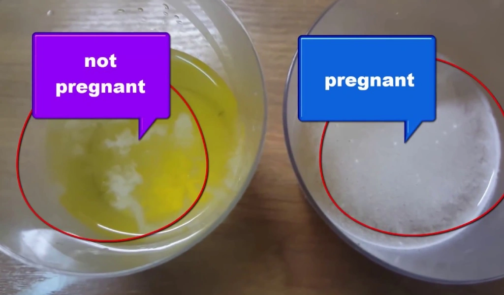 How Does Salt Pregnancy Test Work?